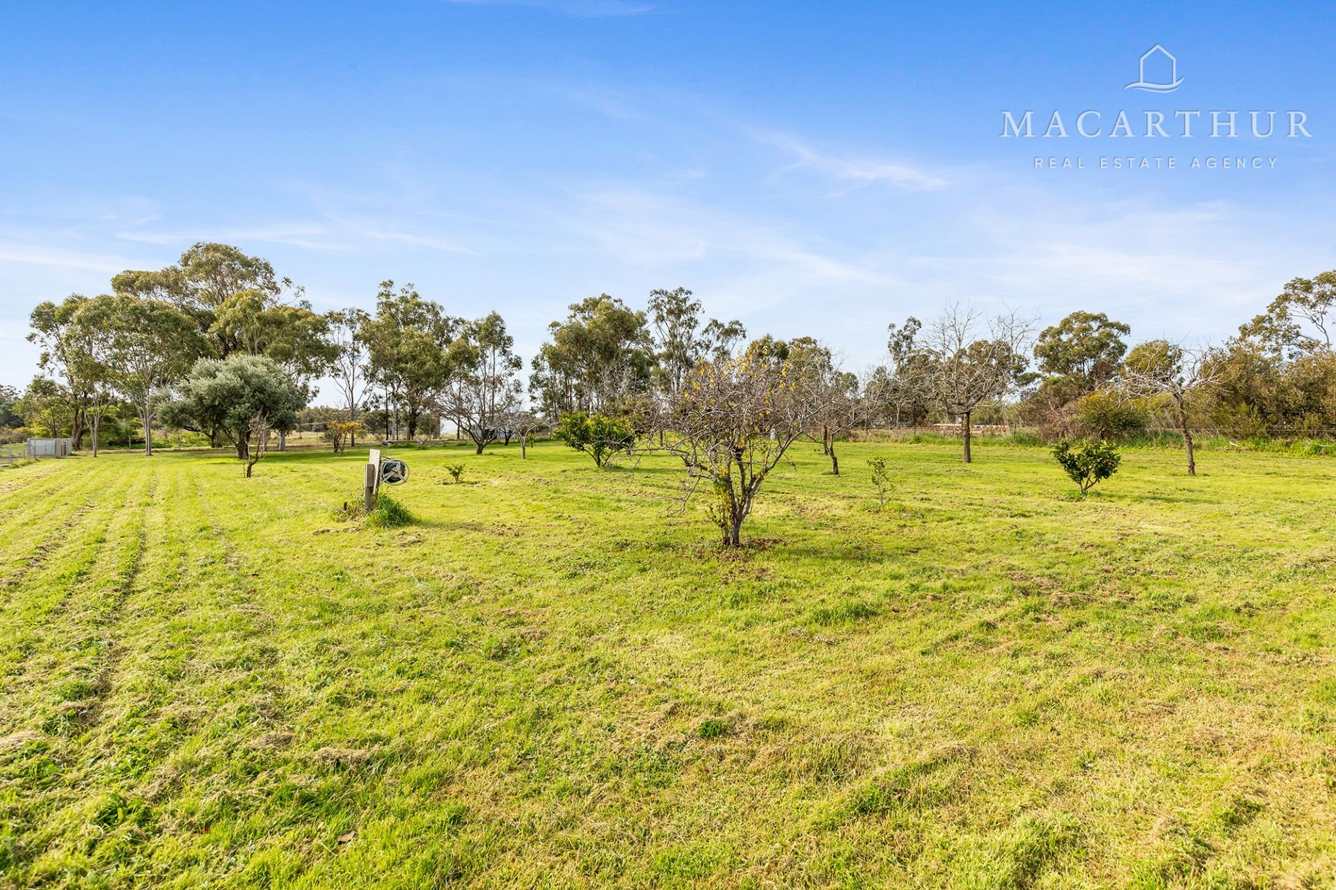 11 Devlin Street, Coolamon Macarthur Real Estate Agency