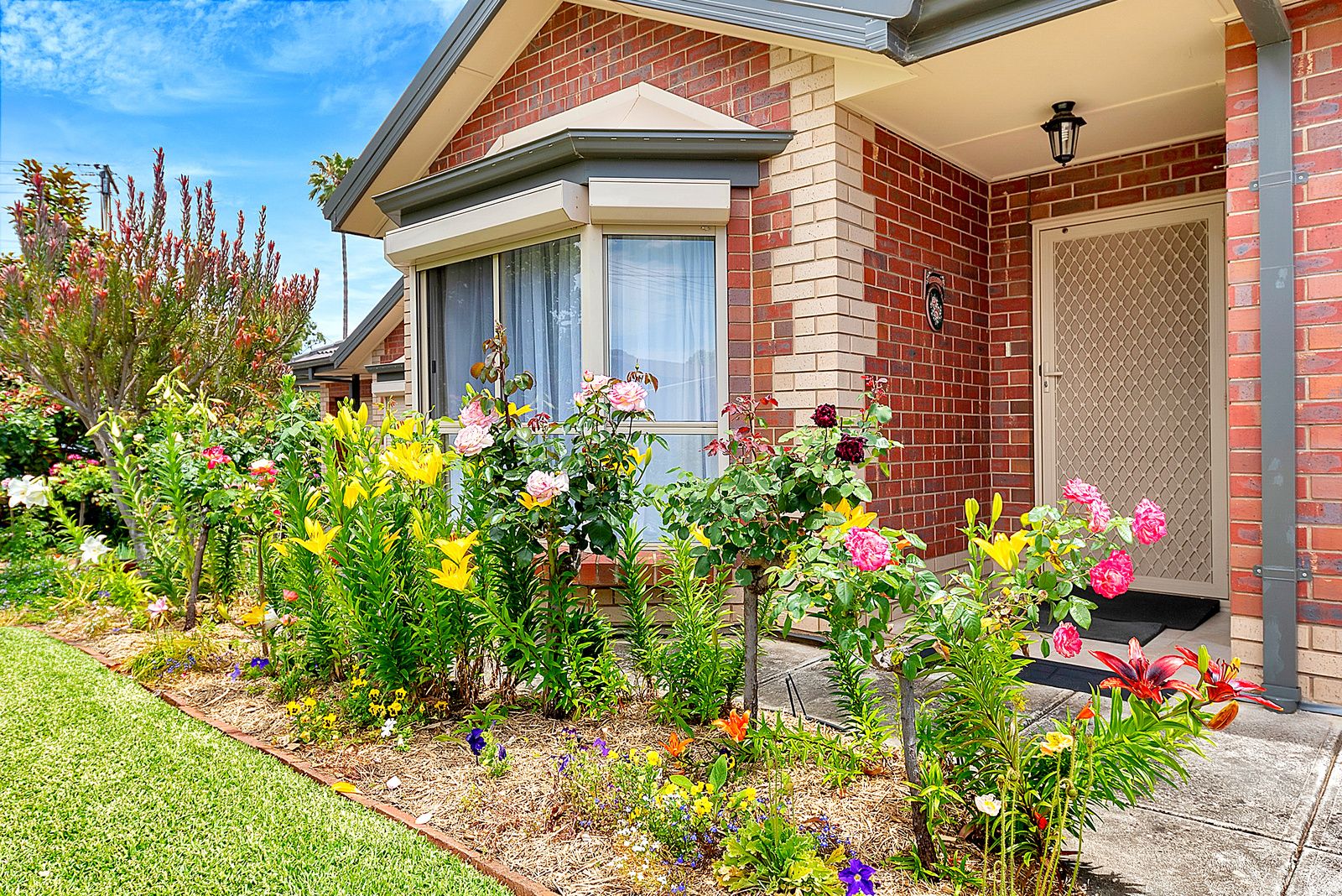 eXp Australia Property