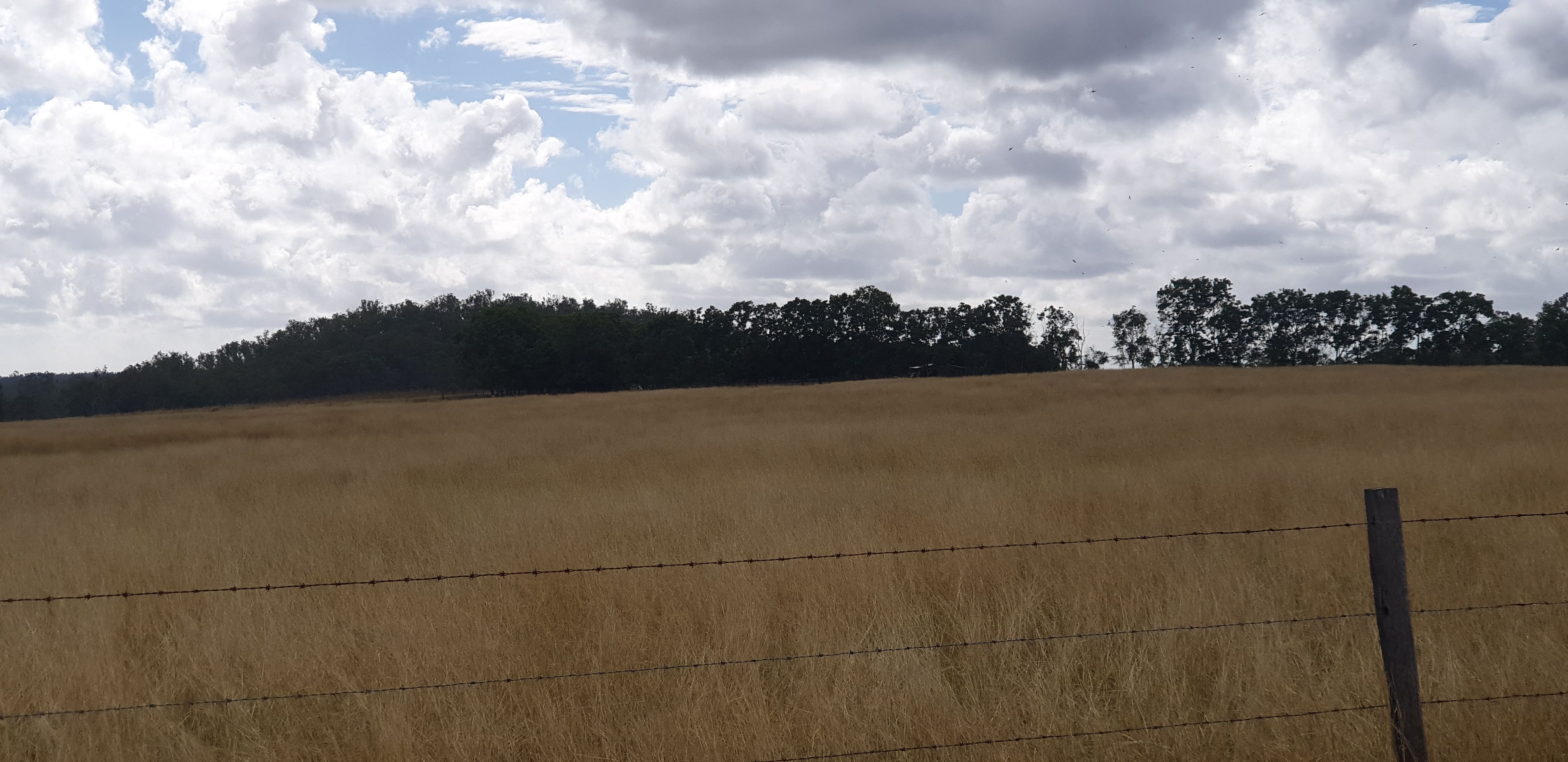 Real Estate For Sale 44 Clarkes Road Delan , QLD