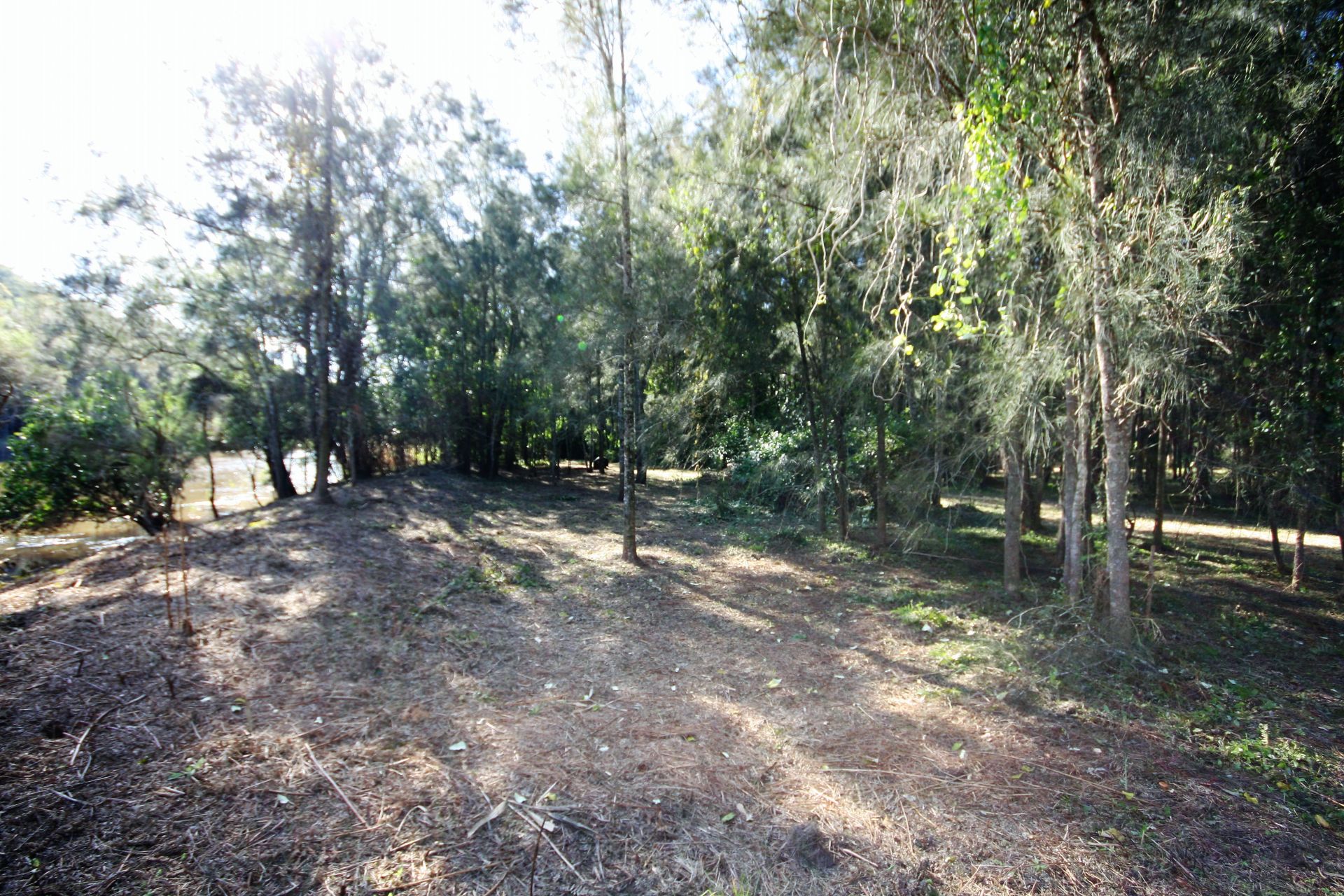 Real Estate For Sale 249 bs Creek Road bs Creek , NSW