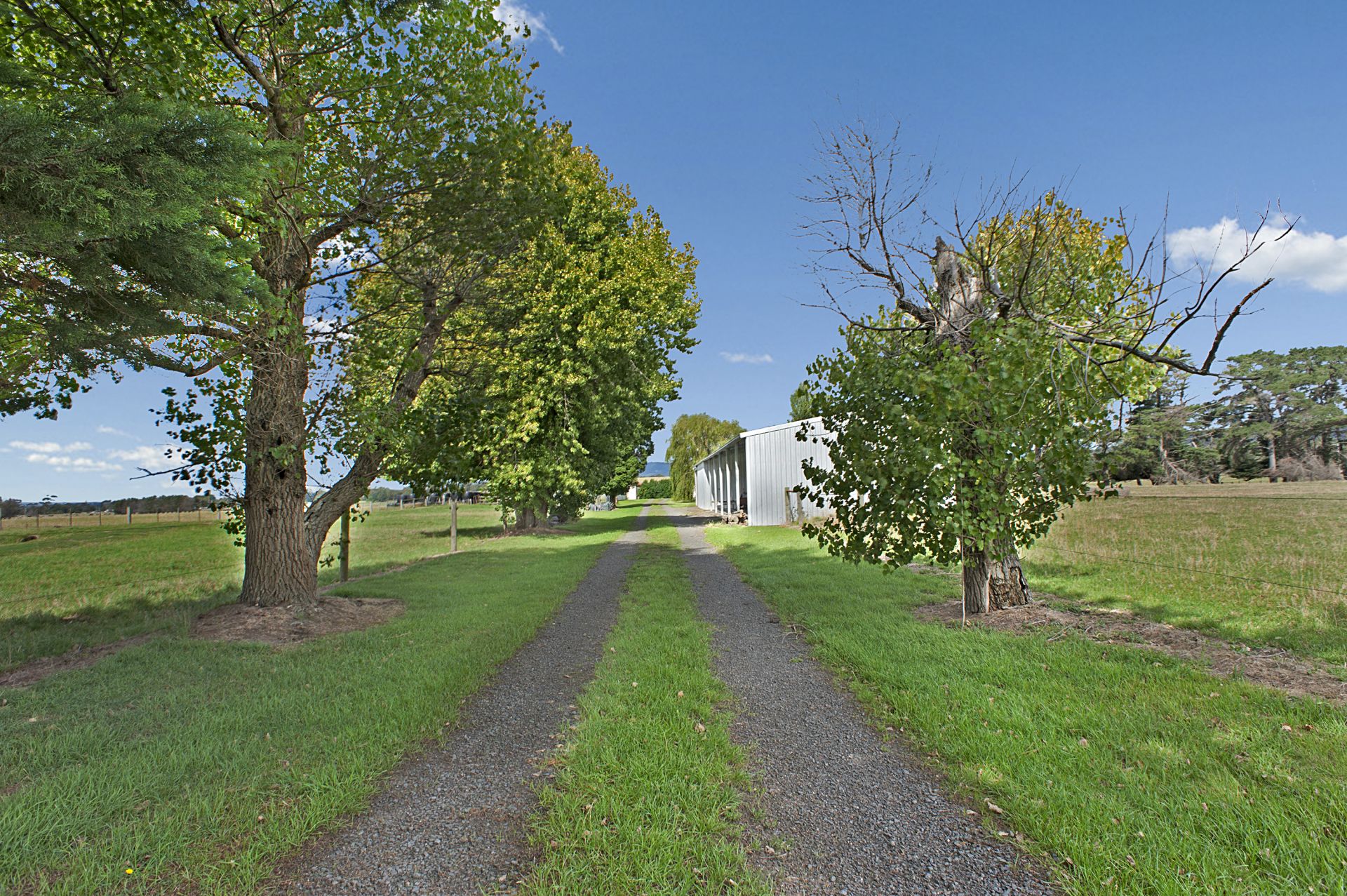 110 Nuttalls Road, Yinnar OBrien Real Estate