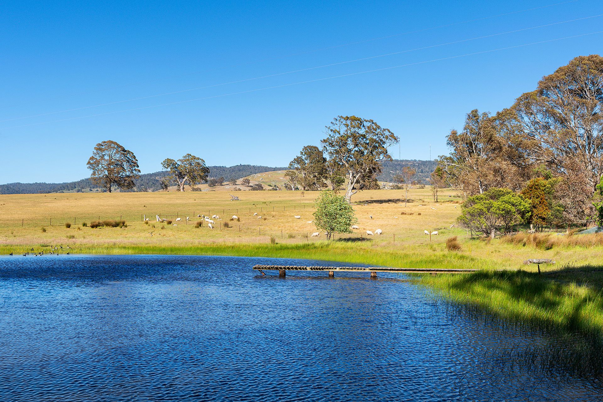 10 Ontario Lodge Lane, Sutton Grange Cantwell Property Castlemaine