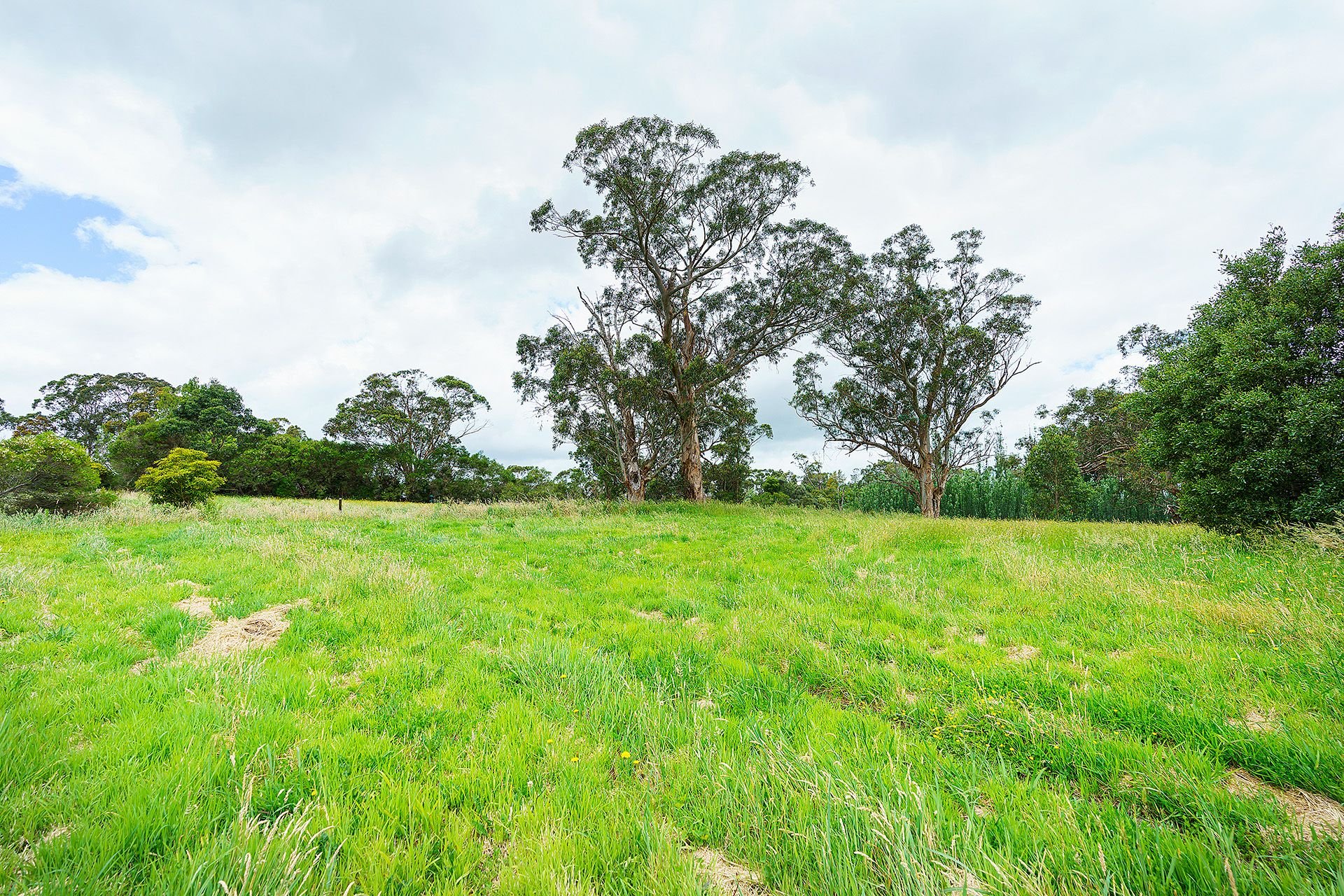 Real Estate For Sale Lot 50/Part 18A Davis Street Nyora , VIC