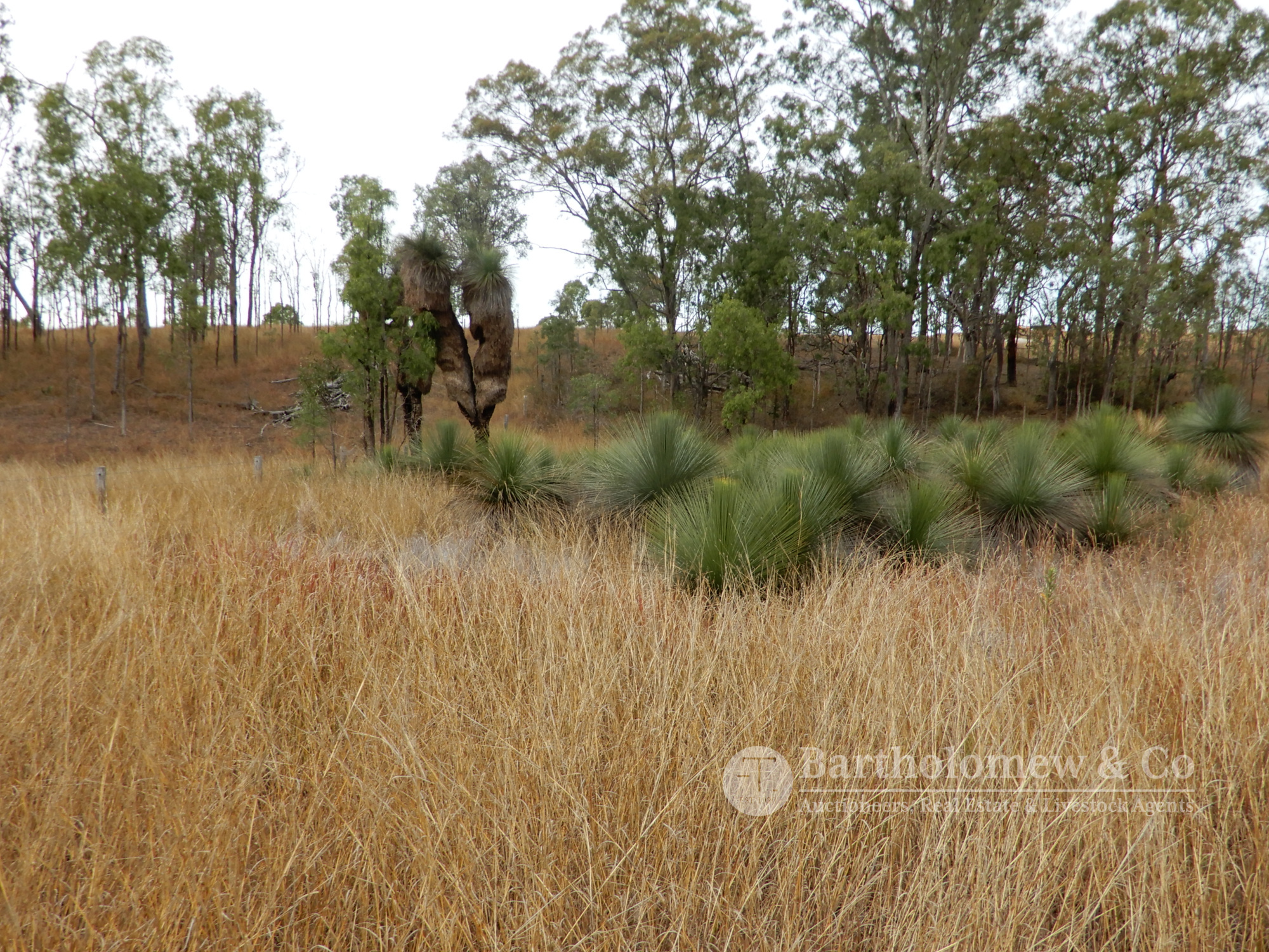 Real Estate For Sale Lot 1 Verrall Road Limestone Ridges , QLD