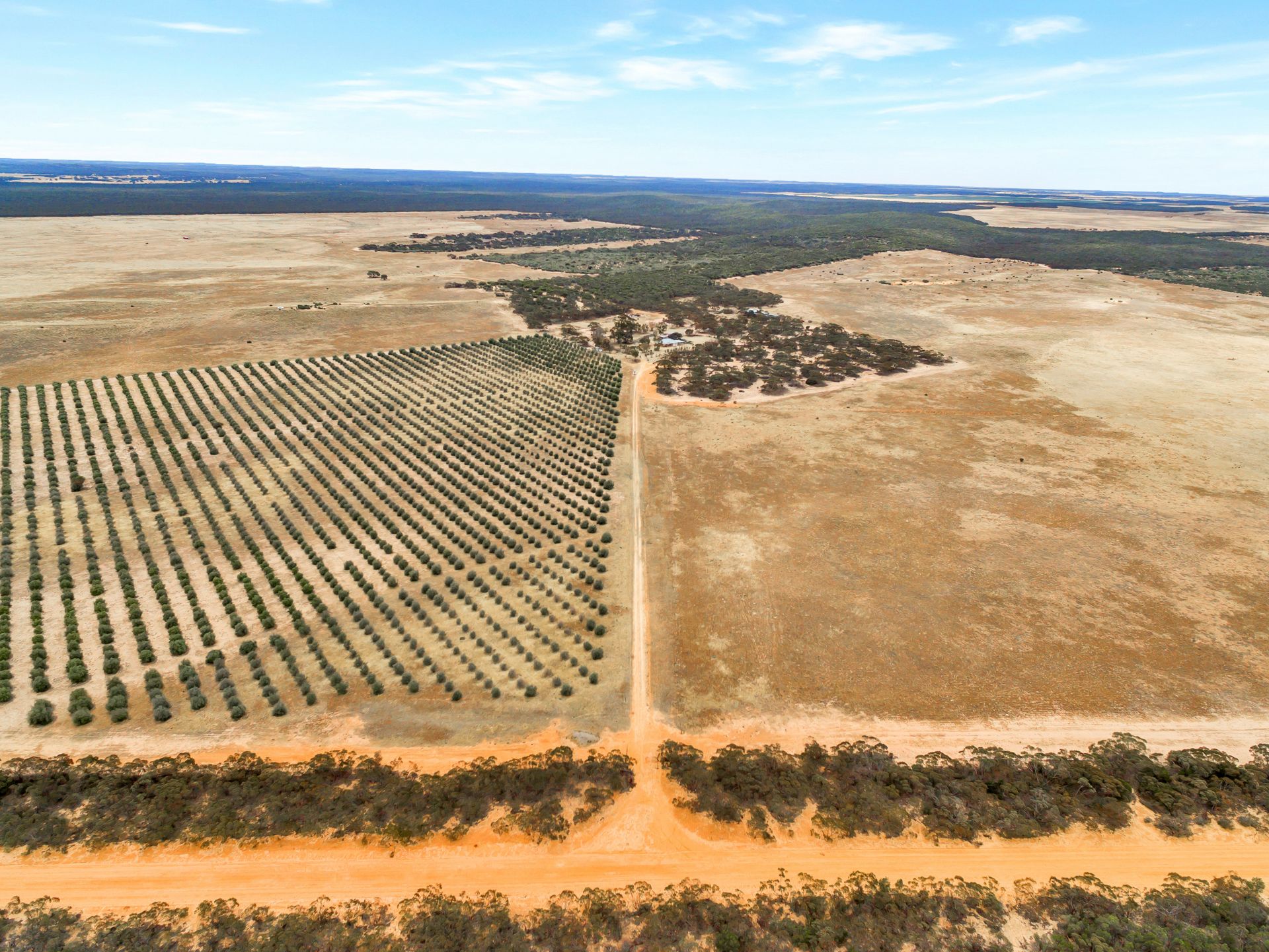 632 Gurrai North Road, Lameroo Taplin Real Estate