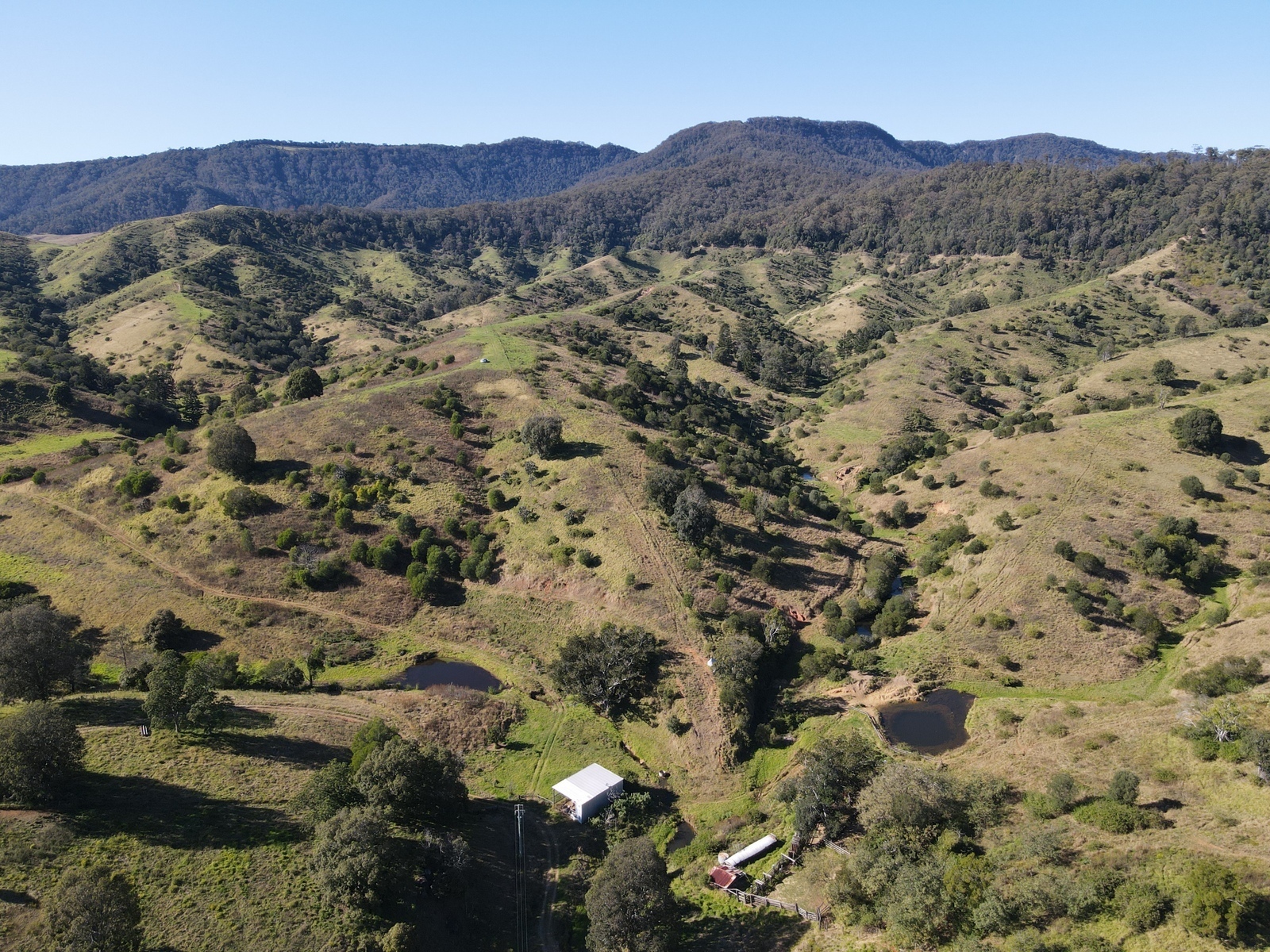 Real Estate For Sale Lot 51 Snake Gully Road Palen Creek , QLD