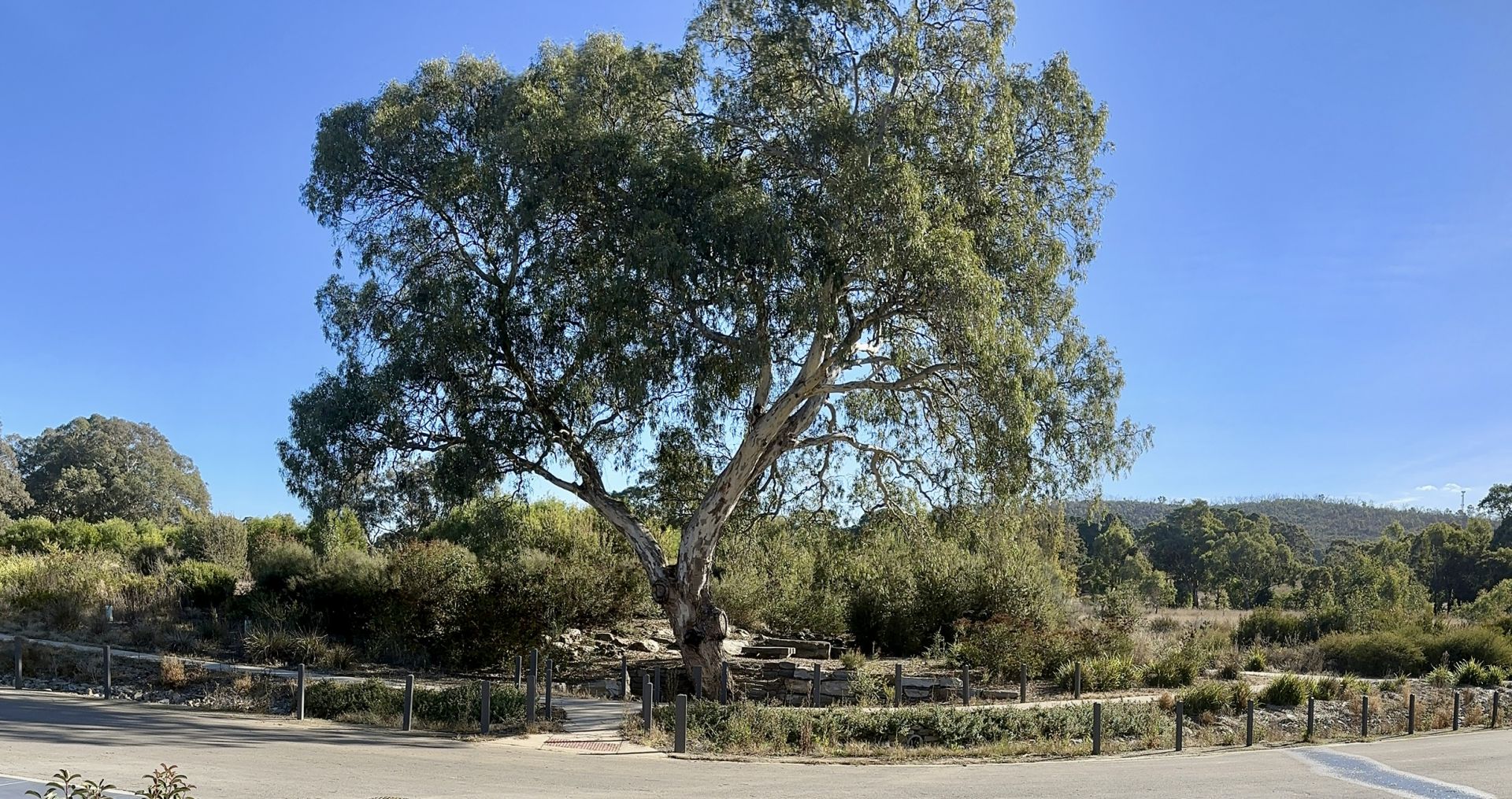 24 Dunnfield Drive, Mount Torrens S’avance Real Estate