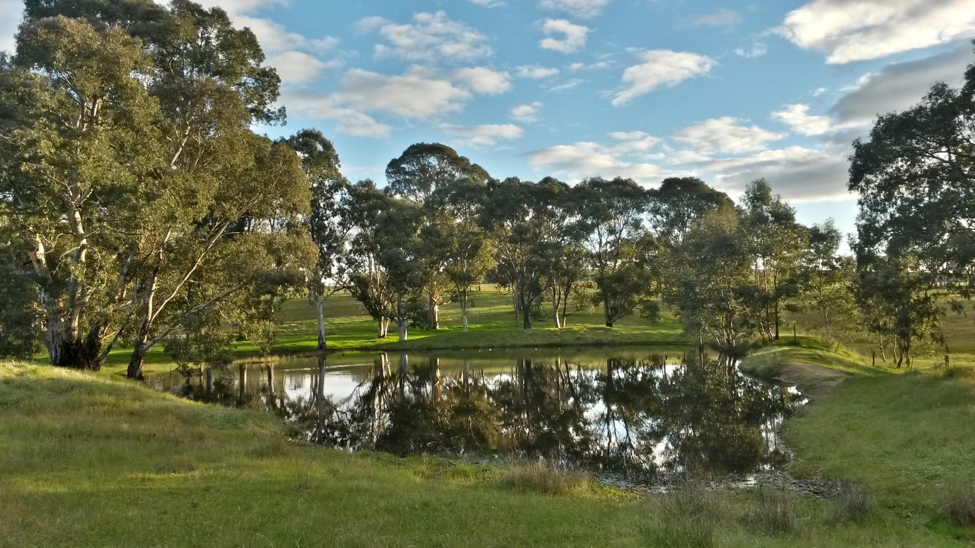 Allot 23 Woodlands Road, COCKATOO VALLEY, SA, 5351 Land buyMyplace