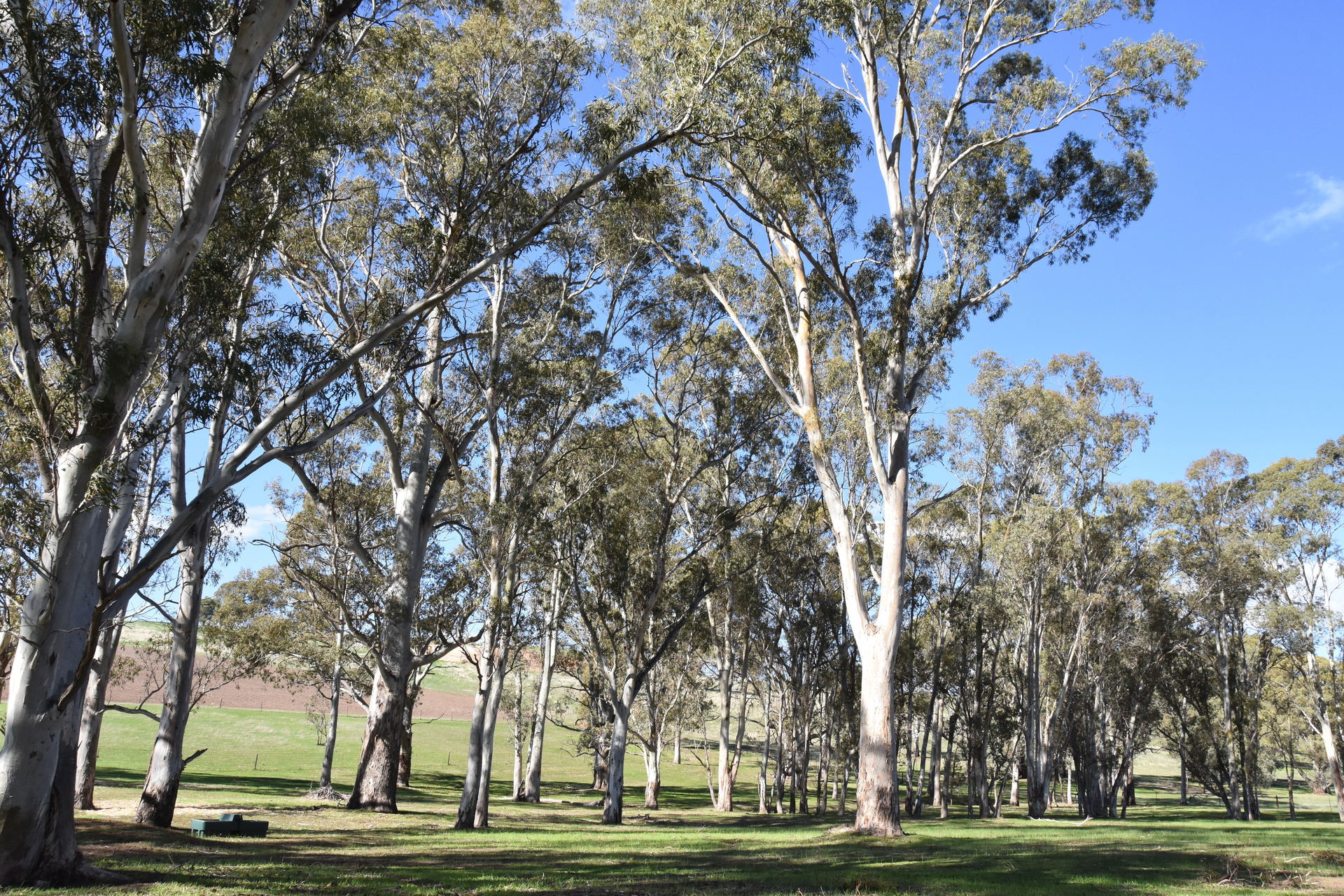 Allot 23 Woodlands Road, COCKATOO VALLEY, SA, 5351 Land buyMyplace