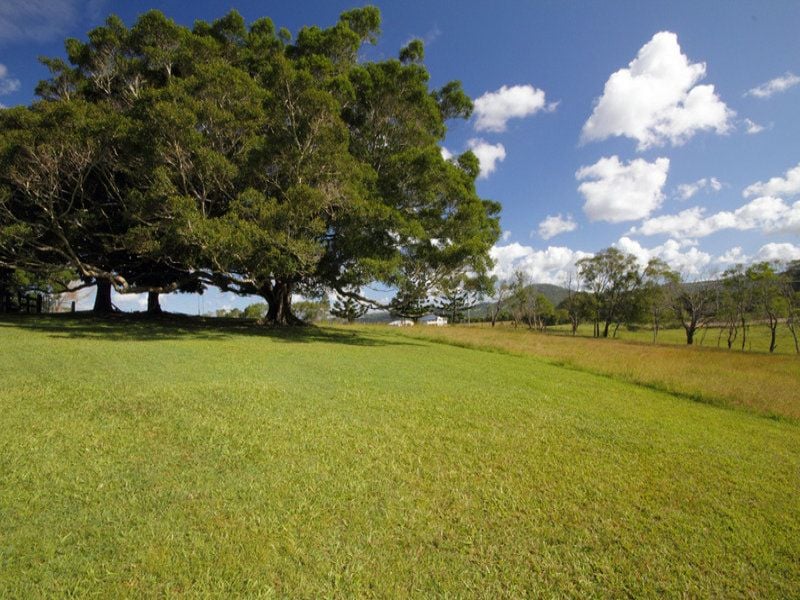 Real Estate For Sale 240 Toolborough Road Yandina Creek , QLD