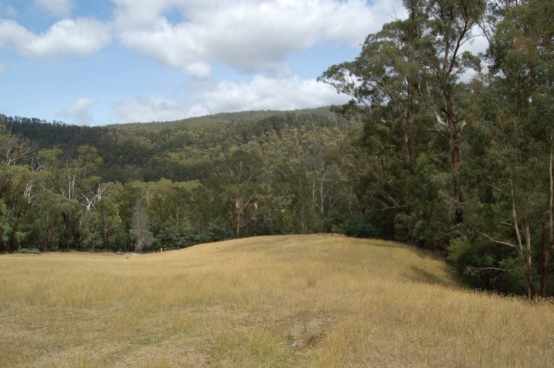 Real Estate For Sale 2464 Whittlesea Yea Road Flowerdale , VIC