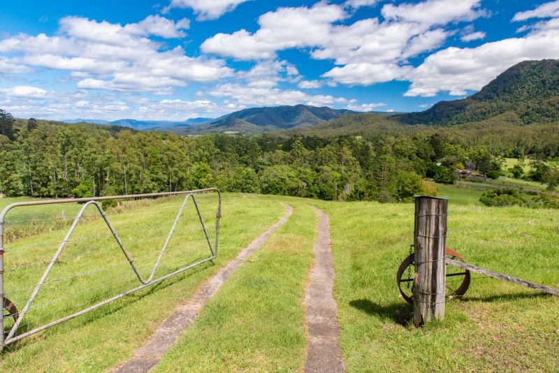 Real Estate For Sale 2209 Waterfall Way Bellingen , NSW