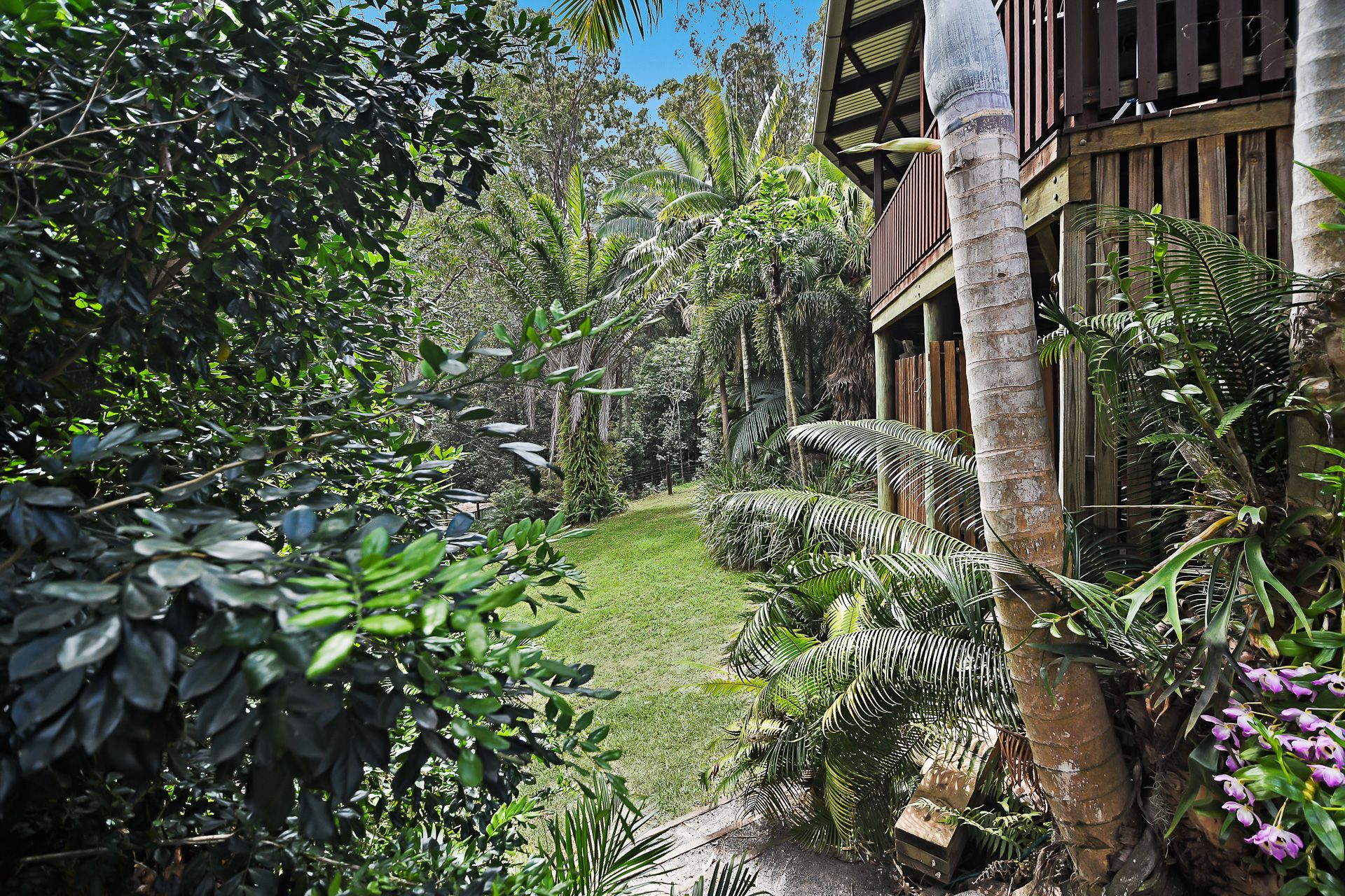 Real Estate For Sale 247 Kiel Mountain Road Kiels Mountain , QLD