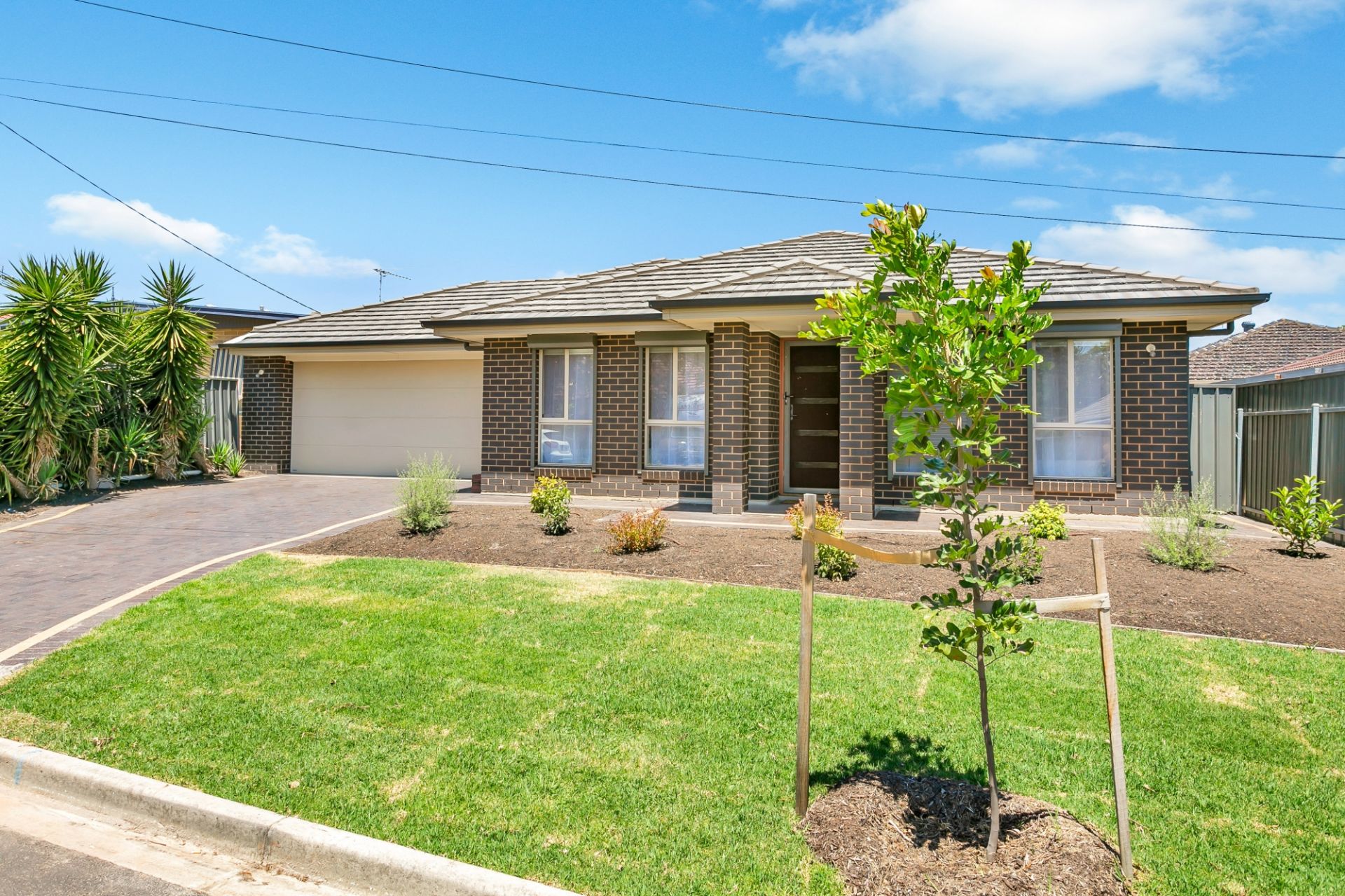 1a MacMahon Avenue, St Agnes Taplin Real Estate