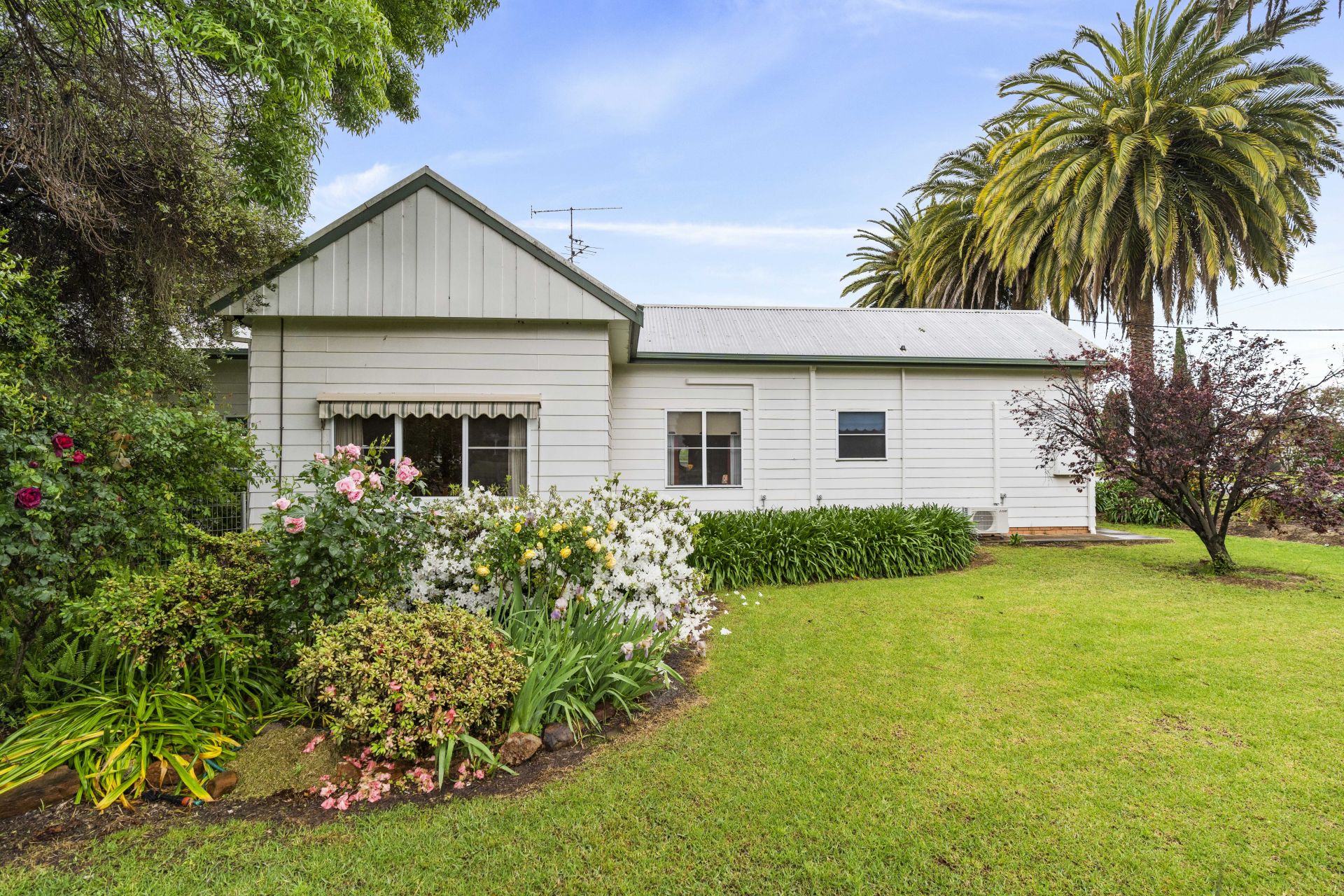 127 Petersham Road, LEETON QPL Rural