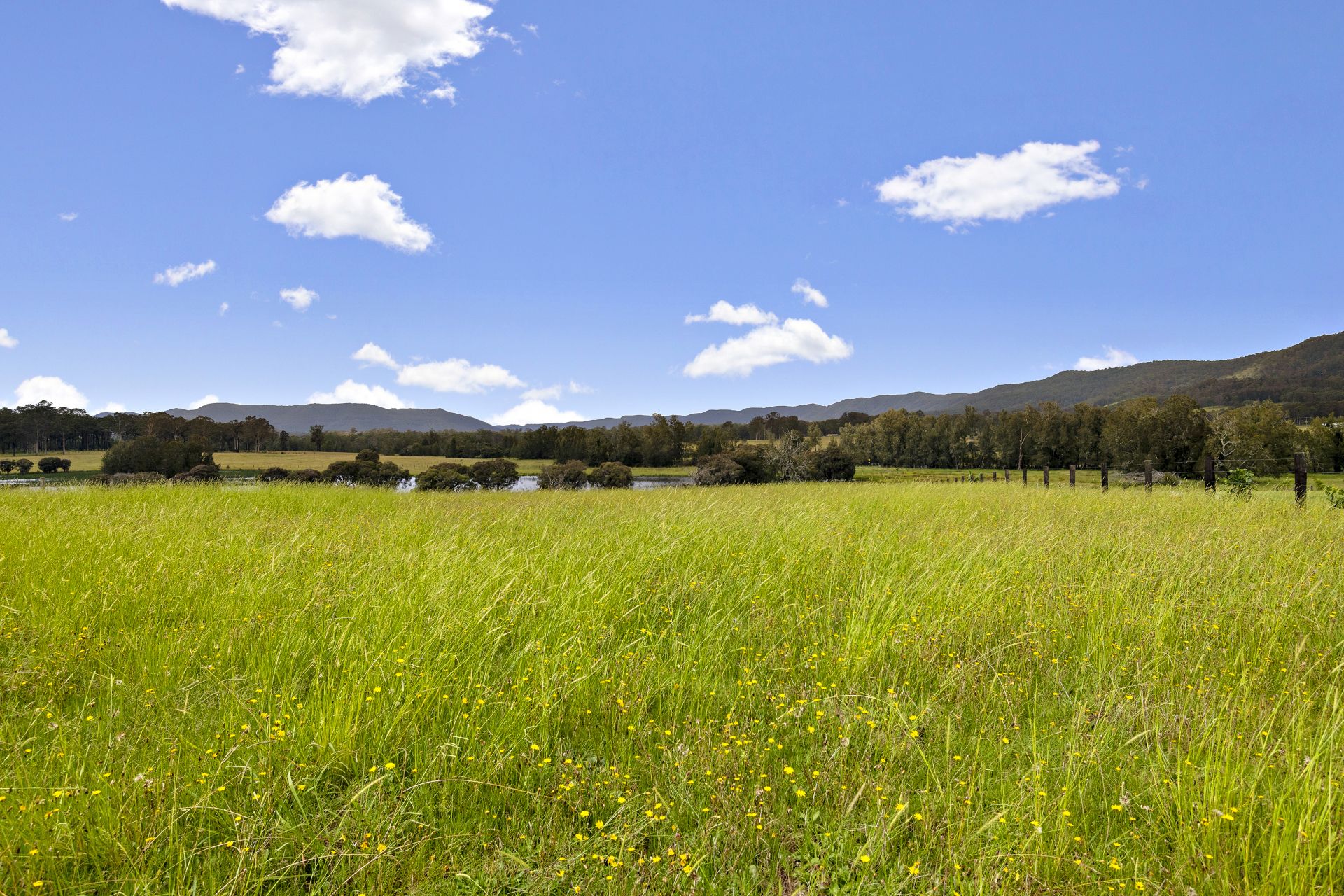 Real Estate For Sale 87 Rosehill Road Millfield , NSW