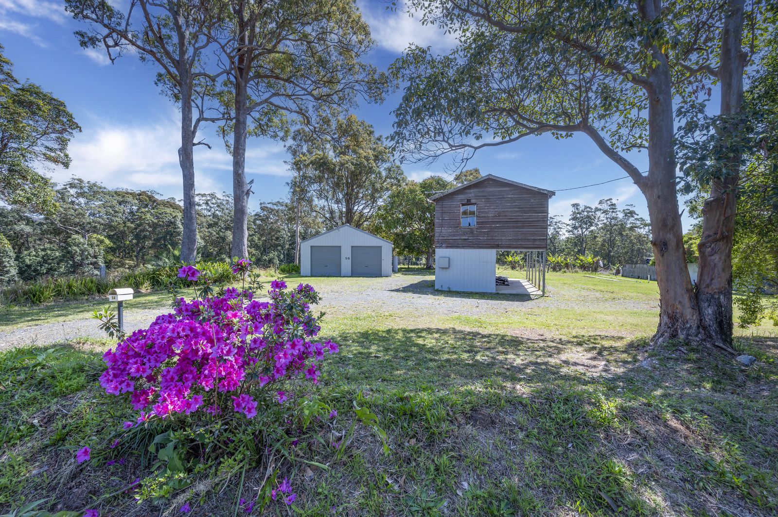 Real Estate For Sale 56 Pullen Street Woolgoolga , NSW