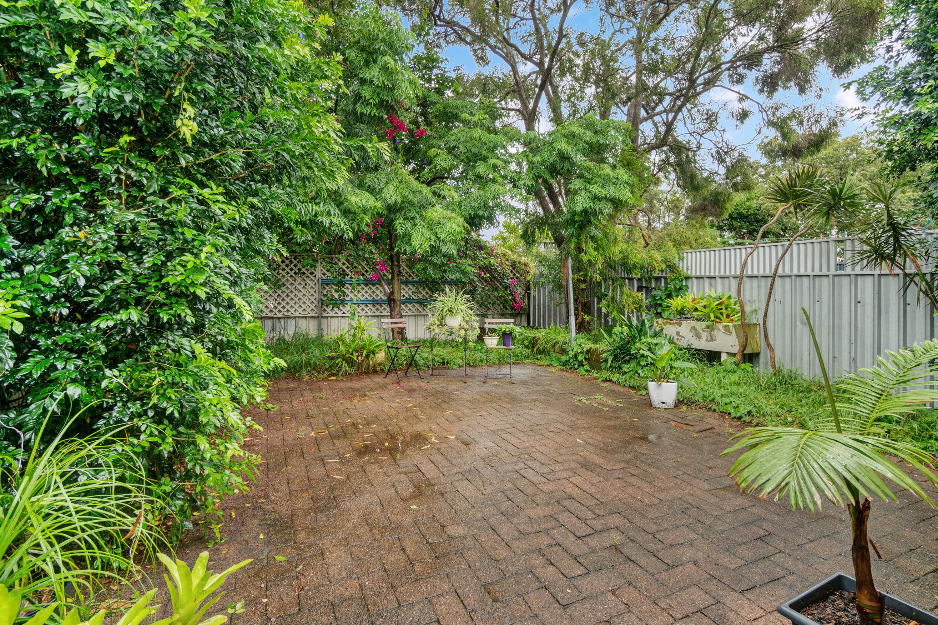 Real Estate For Sale 56 Northumberland Street Maryville , NSW