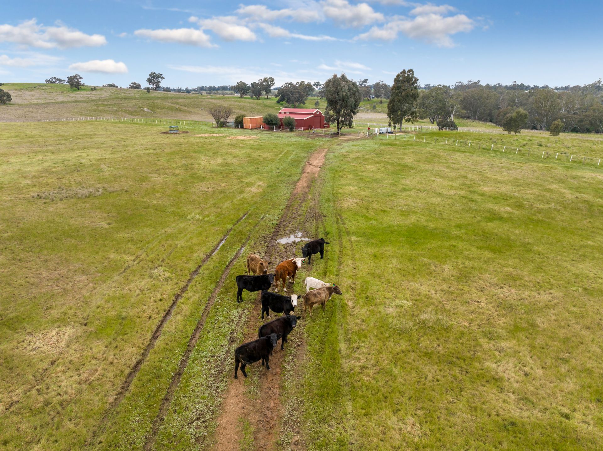 174 Axedale Goornong Road, Axedale Bendigo Ballarat Real Estate Pty Ltd