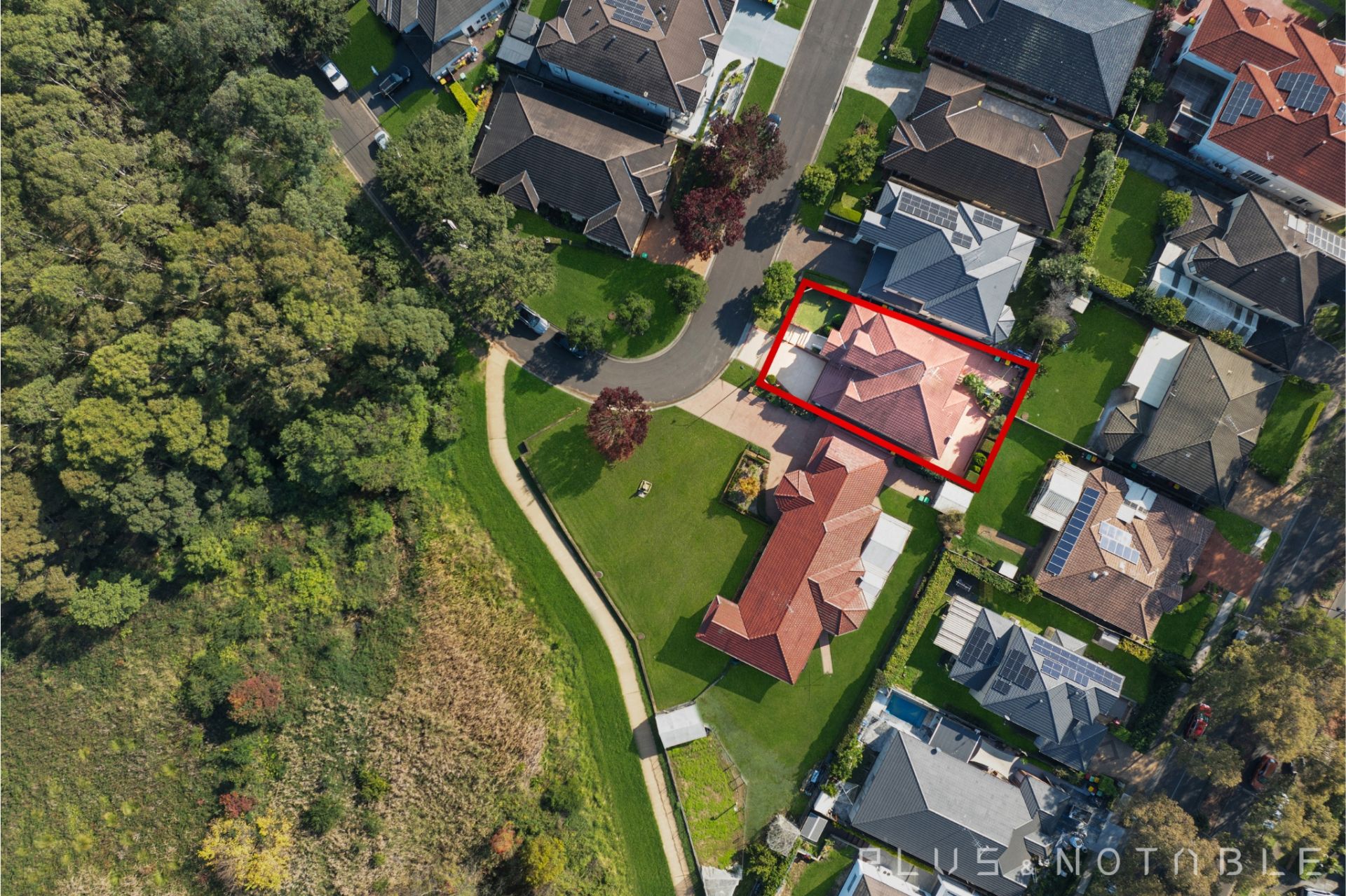 62 Benson Road, Beaumont Hills Plus Agency