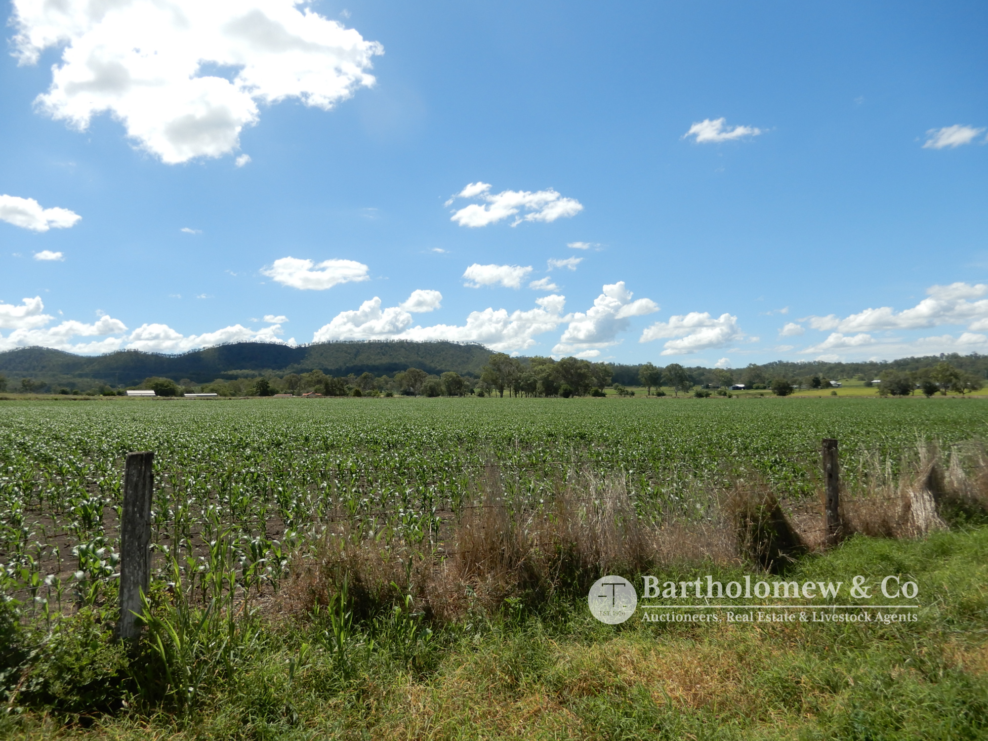 Real Estate For Sale 43 Tierneys Bridge Road Rosevale , QLD