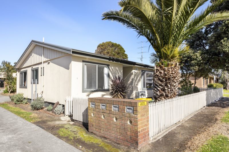 Apollo Bay Real Estate Agents Great Ocean Properties