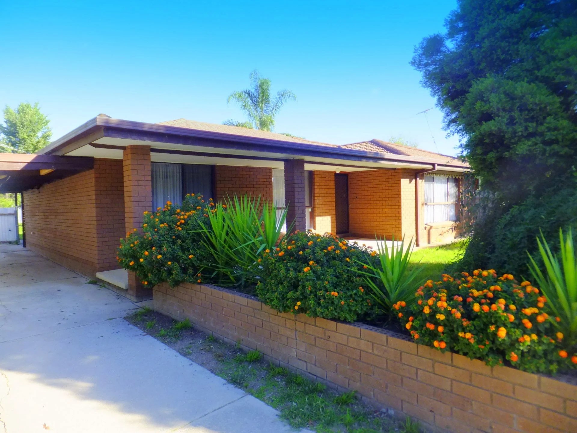 117 Adams Street, Jindera Kane Real Estate