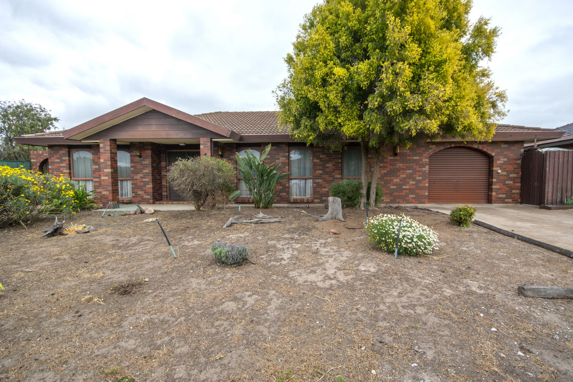 4 Birch Avenue, Horsham Wes Davidson Real Estate