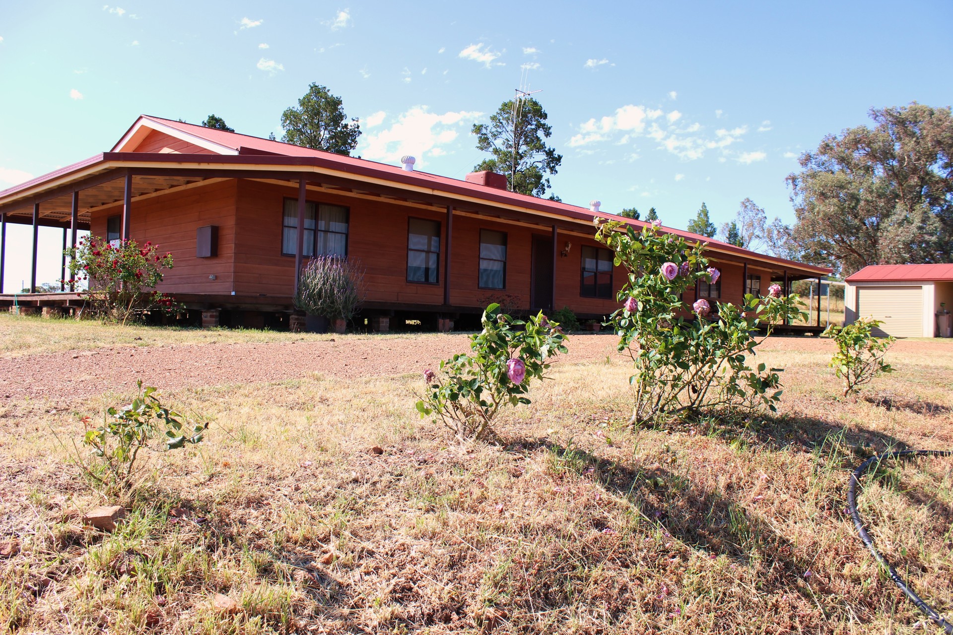 153 Cons Lane, PARKES, NSW, 2870 Acreage/SemiRural buyMyplace