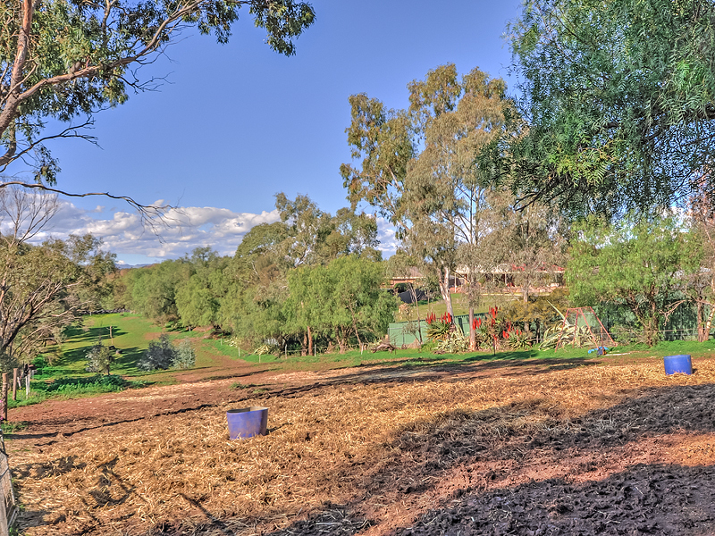 Sold property Undisclosed for 44 Cheek Avenue Gawler East , SA 5118