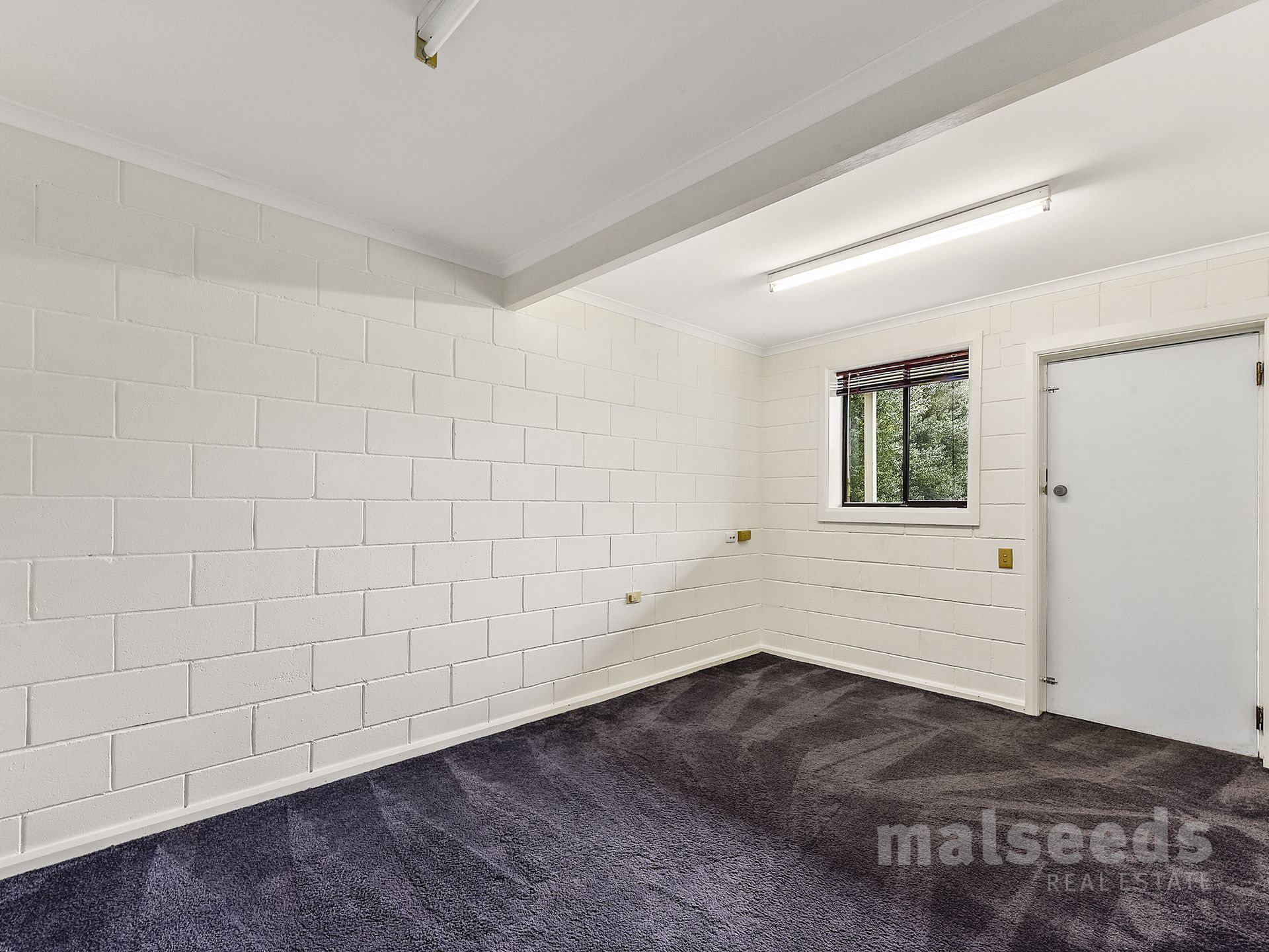 8 Locke Street, Mount Gambier Malseeds Real Estate