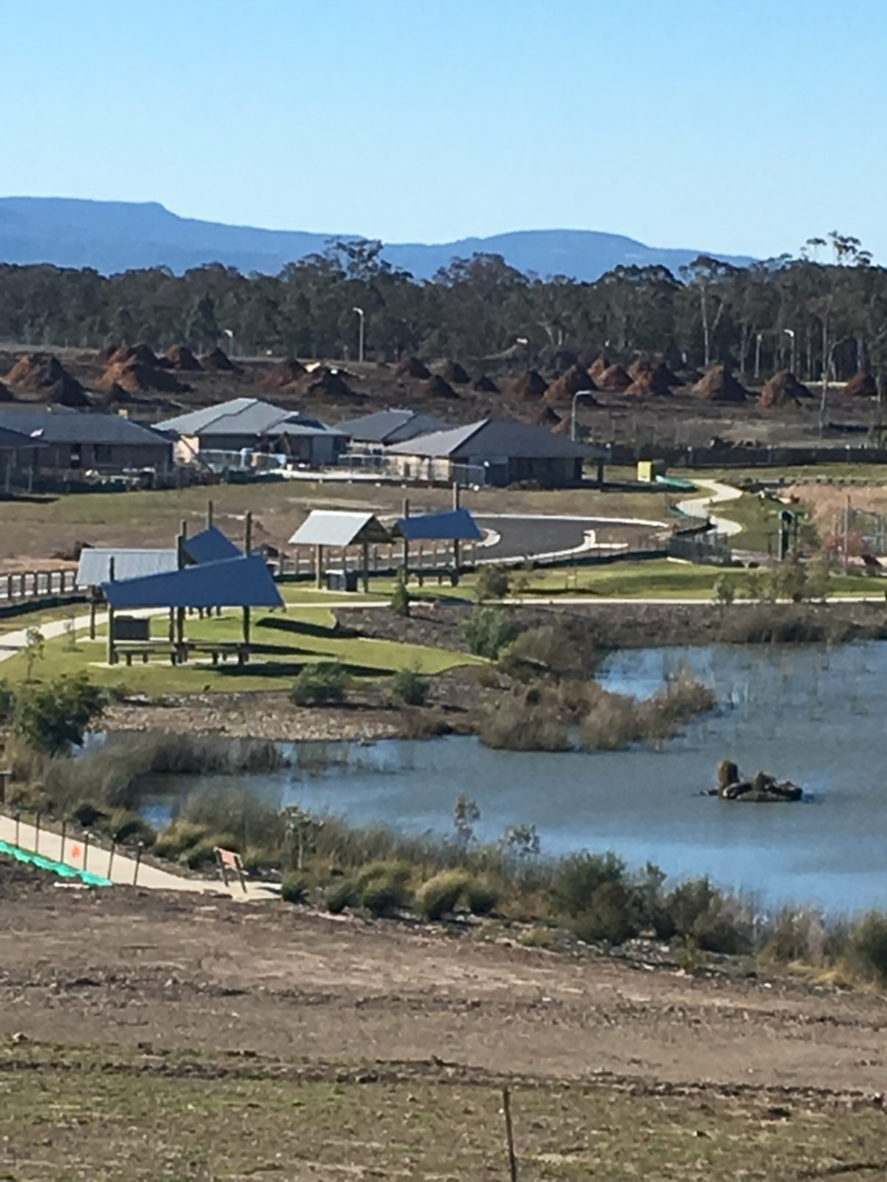 13 Wattlebird Street , SOUTH NOWRA, NSW, 2541 Land buyMyplace