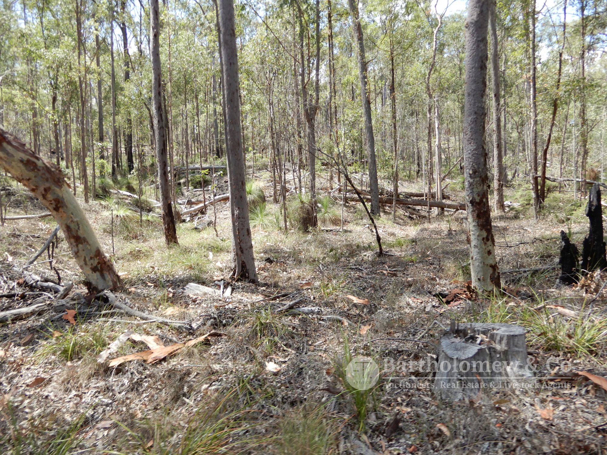 Real Estate For Sale Lot 363 Tamrookum Creek Road Tamrookum Creek , QLD