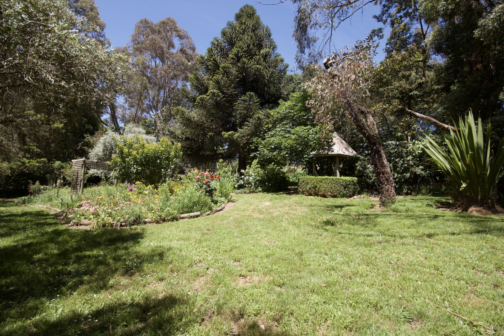 55 Olsens Road, Poowong East Karen McCormick Real Estate