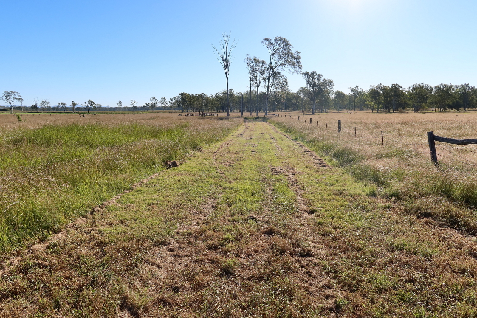 Real Estate For Sale Lot 74 Middle Road Purga , QLD