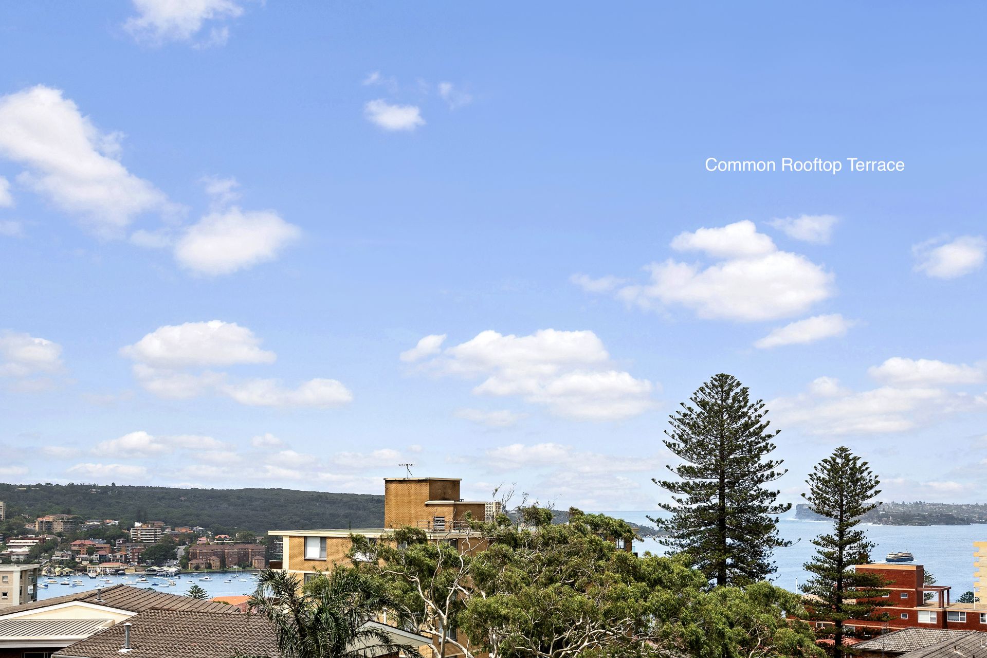 Real Estate For Sale 1/135 Sydney Road Fairlight , NSW