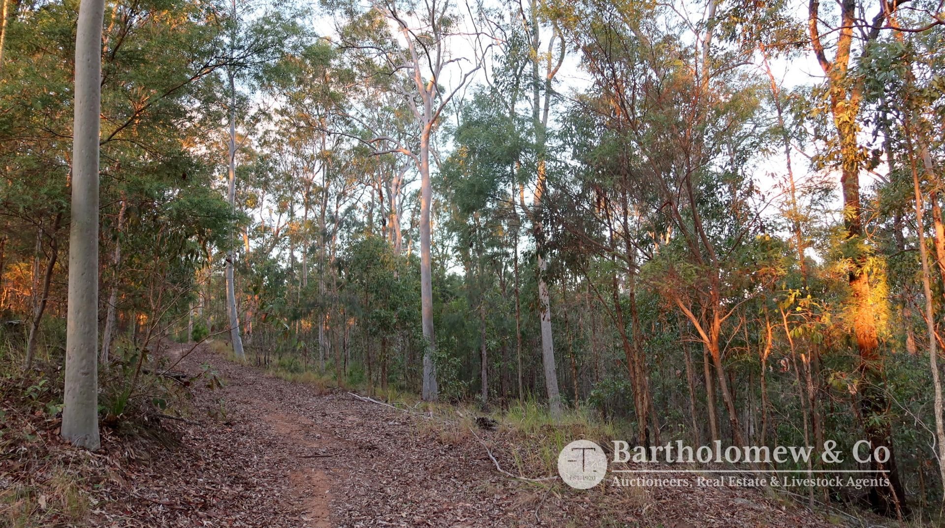 Real Estate For Sale Tamrookum Creek Road Tamrookum Creek , QLD