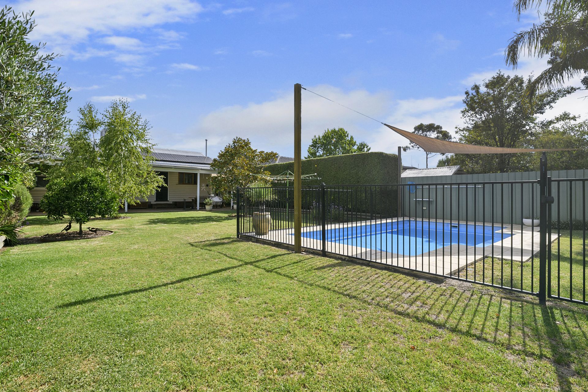 7 Egmont Street, BENALLA Living Here Benalla
