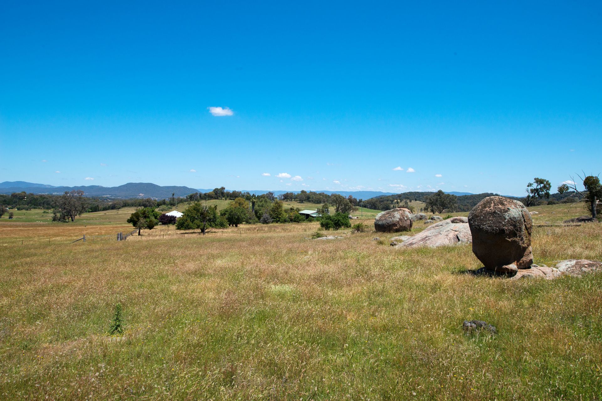 Black Springs Road, Mudgee The Property Shop