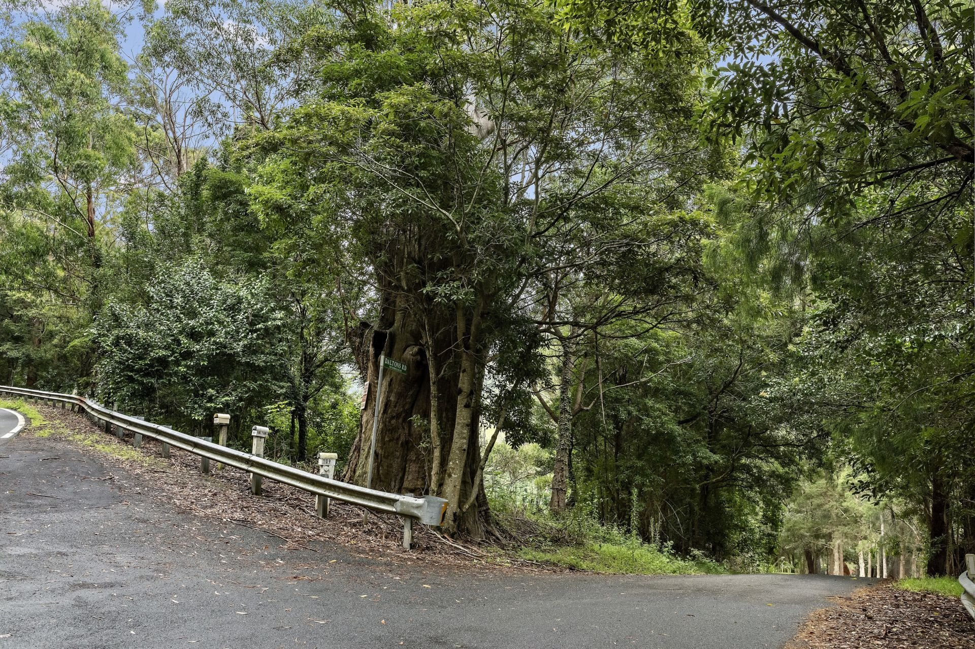 144 Jamberoo Mountain Road, Jamberoo First National Coast & Country