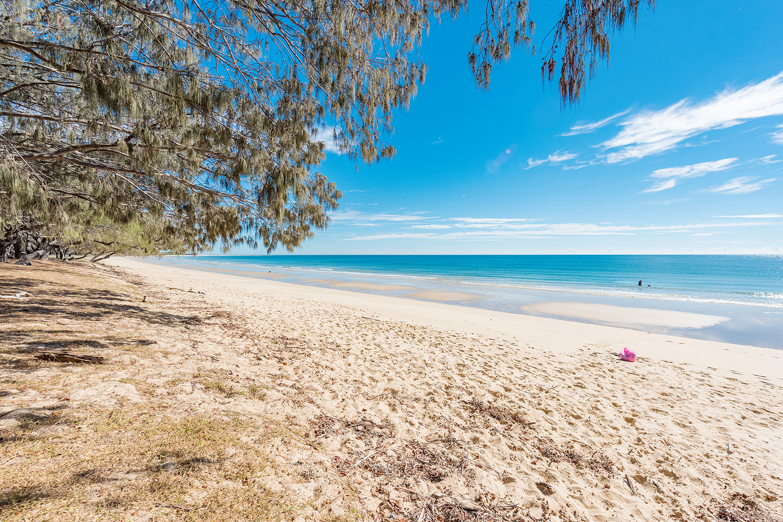 20 First Avenue , WOODGATE, QLD, 4660 Land buyMyplace