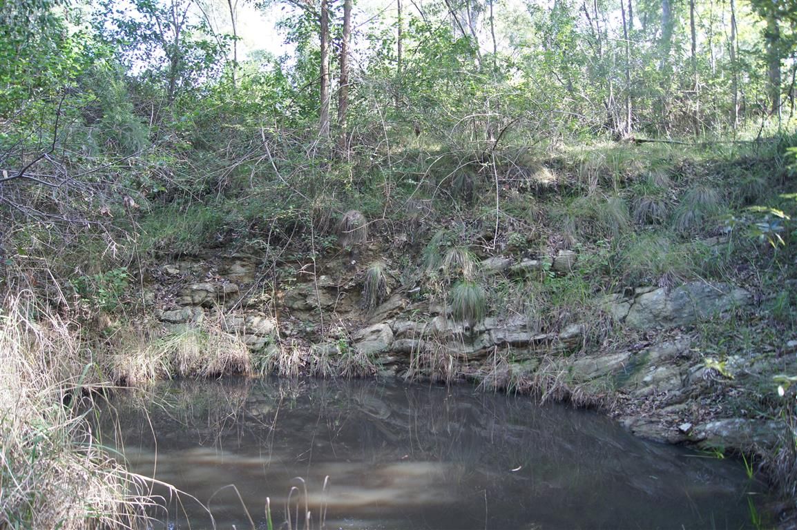 Real Estate For Sale 319 Dirty Creek Road Dirty Creek , NSW