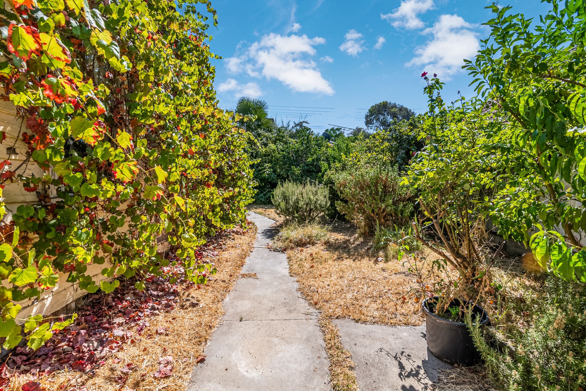 24 Olinda Street, Quarry Hill Bendigo Ballarat Real Estate Pty Ltd