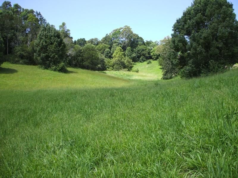 Real Estate For Sale Repton , NSW