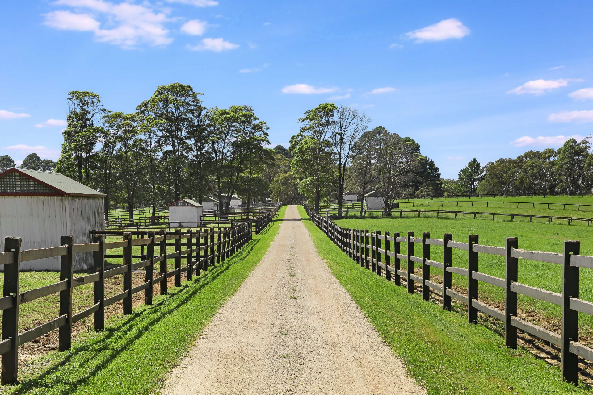 Real Estate For Sale 1640 Downes Drive Kulnura , NSW