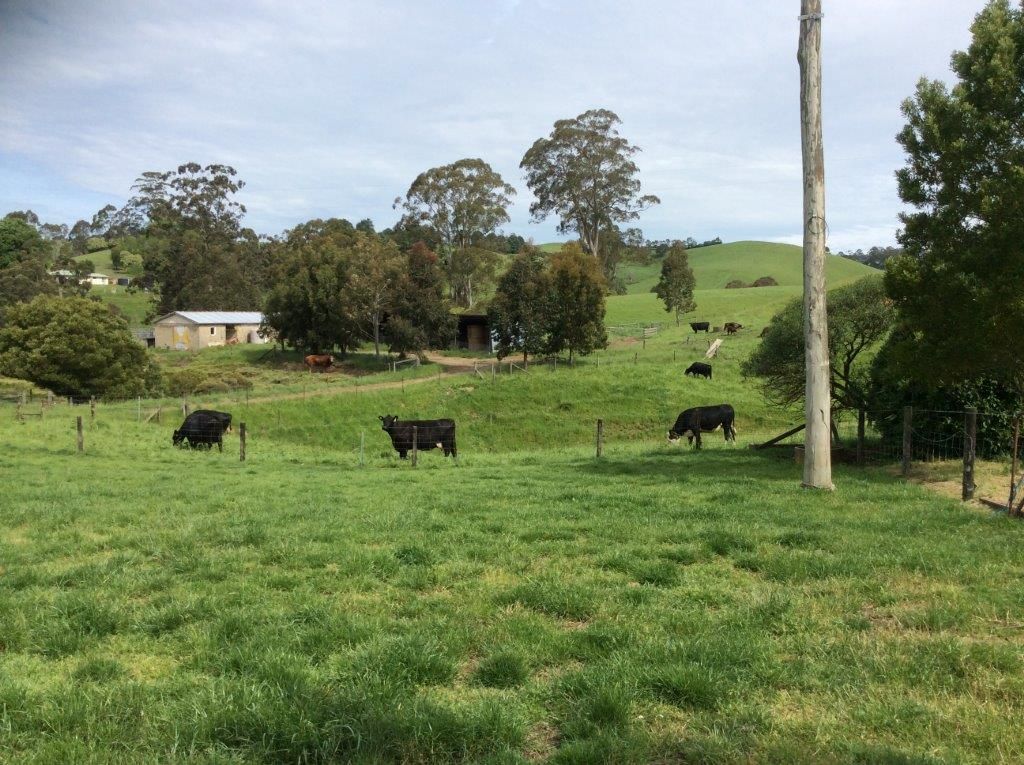 Real Estate For Sale 100 Schmidts Road Poowong East , VIC