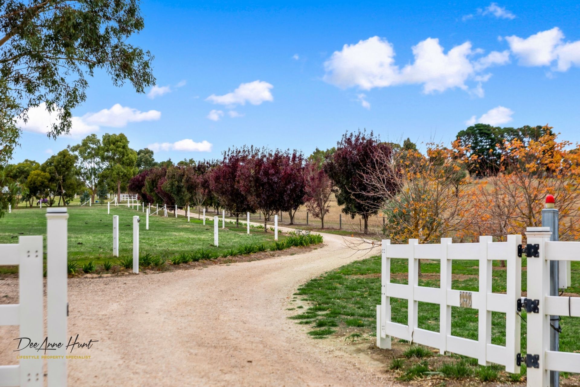 152 Blights Reserve Road, Wistow Williams Real Estate