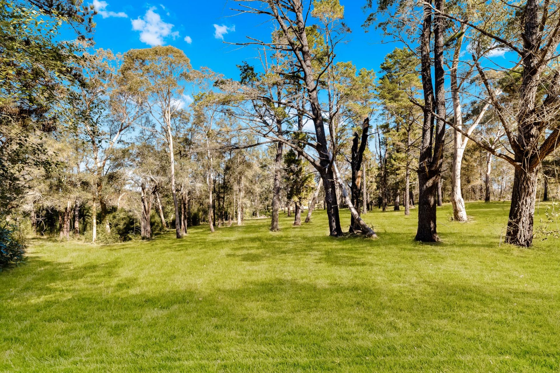 Vesperman Road, Glenorie Lumby Real Estate