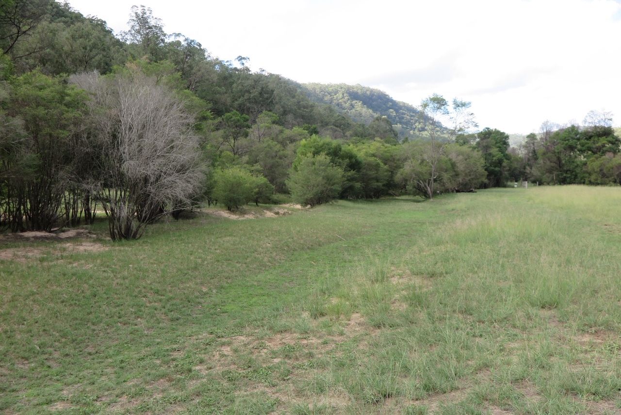 Real Estate For Sale 1270 Wollombi Road Fernances , NSW