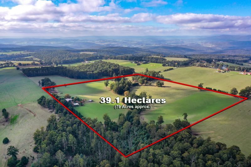 Real Estate For Sale 41 CUMMINS CREEK Road Kinglake Central , VIC